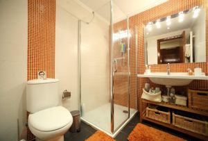 결합 된 욕실 : 계획 기능 (58 사진)