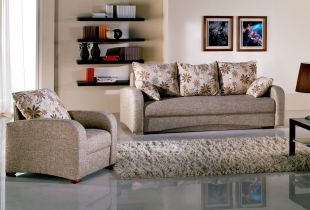 Sofa telescope in the interior: design features and design options (22 photos)