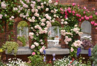 Roses in landscaping (52 photos): the correct and beautiful design of the garden