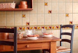 How to choose a wall tile for the kitchen (20 photos)