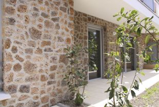 Facing stone in the exterior: natural motifs (25 photos)