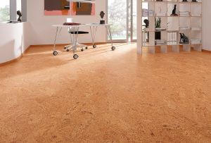 Lantai gabus di pedalaman: ciri-ciri bahan (23 foto)