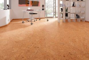 Cork flooring in the interior: material features (23 photos)