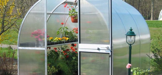 How to make a greenhouse from cellular polycarbonate? (22 photos)