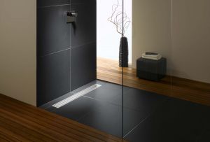 Dapur pancuran dengan longkang: peranti dan kemungkinan aplikasi di bahagian dalam bilik mandi (20 foto)