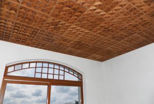 Siling Grilyato di pedalaman - tahap lain (22 foto)