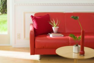 Red sofa: bright accent in a modern interior (27 photos)