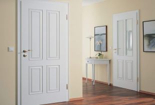 Panel doors: features and main characteristics (23 photos)