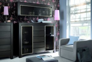 Living room wenge: ascetic luxury (24 photos)