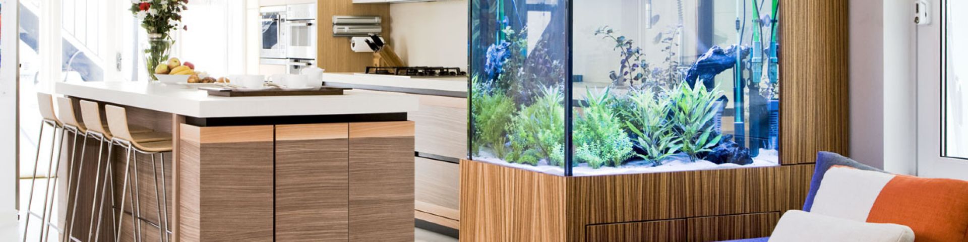 Acuario de bricolaje: una revisión de materiales, herramientas y tecnologías (71 fotos)