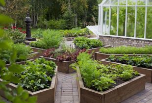 How to make beds in the garden and in the country: types and principles of the device (22 photos)