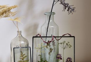 Herbarium di kawasan pedalaman: kecantikan tidak sempurna (21 foto)
