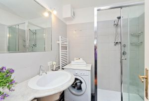 How to place a washing machine in the interior of the bathroom (53 photos)