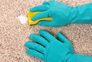 How to clean your palace easily and effectively