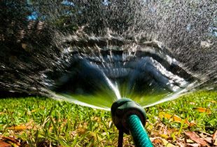 Proper watering in the country: professionals advise (20 photos)