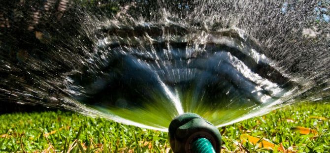 Proper watering in the country: professionals advise (20 photos)