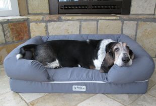 Dog bed: choose furniture for the pet