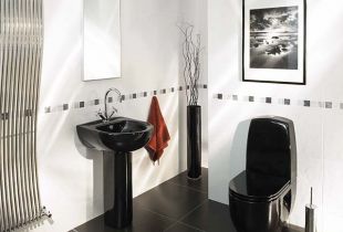 Black and white bathroom - harmony of incompatibility