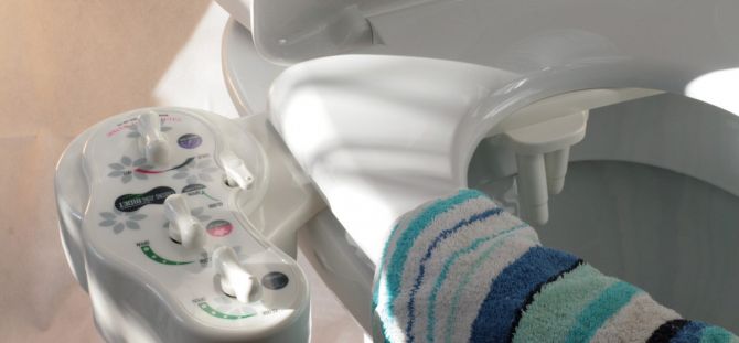 Gambaran keseluruhan tandas dengan fungsi bidet (20 foto)