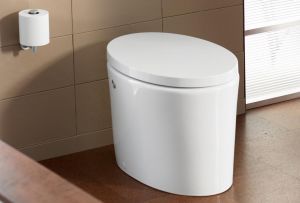 Jenis utama tandas: perbezaan dan model moden