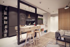 Raumgestaltung mit Bar (115 Fotos): Möglichkeiten der Raumgestaltung