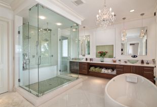 Shower doors in the interior of the bathroom: which one to choose (23 photos)