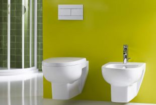 Rimless toilet in the interior of the bathroom (21 photos)