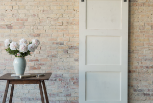 Pintu putih di pedalaman: membuka ruang baru (23 foto)