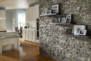 Wall decoration with decorative stone (55 photos): types and options for coating