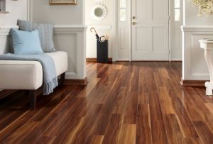 Laminate in the hallway: the possibility of coverage (25 photos)