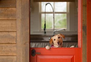 Врати за летни вили: критерии за подбор (24 снимки)