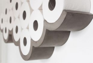 Holders for toilet paper: standard options and original ideas (21 photos)