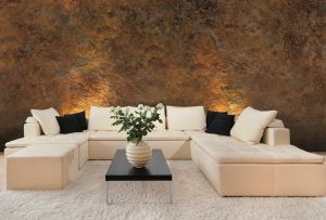 Декоративна мазилка от бръмбар: описание и приложение (29 снимки)