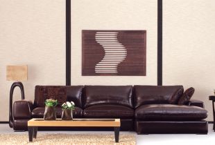 Eco-leather sofa: keselesaan tahap baru (24 foto)