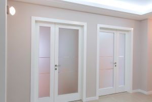 2019년 인테리어 도어: 스타일과 실용성의 조화로운 조합 (사진 25장)