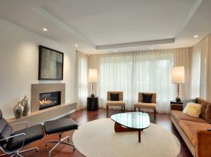 Tulle for the living room: how to choose and care for (24 photos)