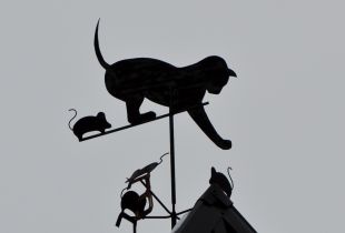 Weather vane on the roof: functional qualities and symbolism (22 photos)