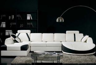 Bagaimana untuk memilih sofa untuk ruang tamu?