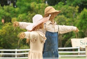 Модерно плашило в градината - стилен елемент от ландшафтен дизайн с функцията на пазител на културите (22 снимки)