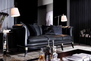 Black furniture in the interior (19 photos): elegance and chic