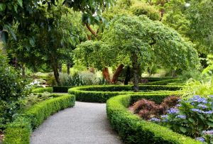 Дизайнът на двора на частна къща: оригинални идеи, които всички ще харесат (24 снимки)