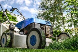 Lawn mower in the garden: how to choose?