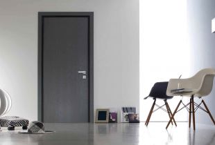 Dark doors in the interior of an apartment or house (56 photos)