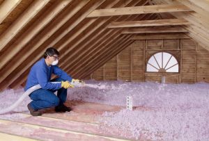 Kalis bunyi apartmen dan rumah: sorotan (22 foto)