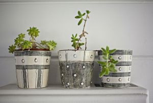 화분 : 집안의 소형 정원 (32 장)