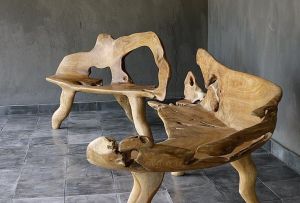 Мебели от корчове: абсолютно ексклузивни (25 снимки)