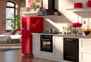 Farbkühlschränke für die Küche: Mehr Helligkeit (23 Fotos)