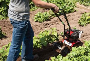 Cara menggunakan penanam di taman: menggabungkan beberapa alat