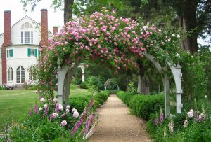 Пергола - необичайна украса на градината (29 снимки)