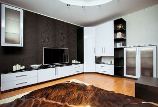 Dinding sudut di ruang tamu: penyelesaian reka bentuk moden untuk kehidupan yang selesa (22 foto)